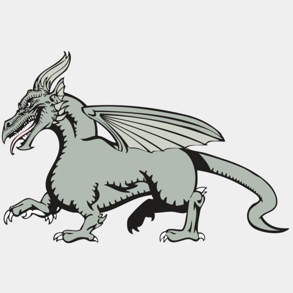 BAW DRAGON 20 RC Thumbnail